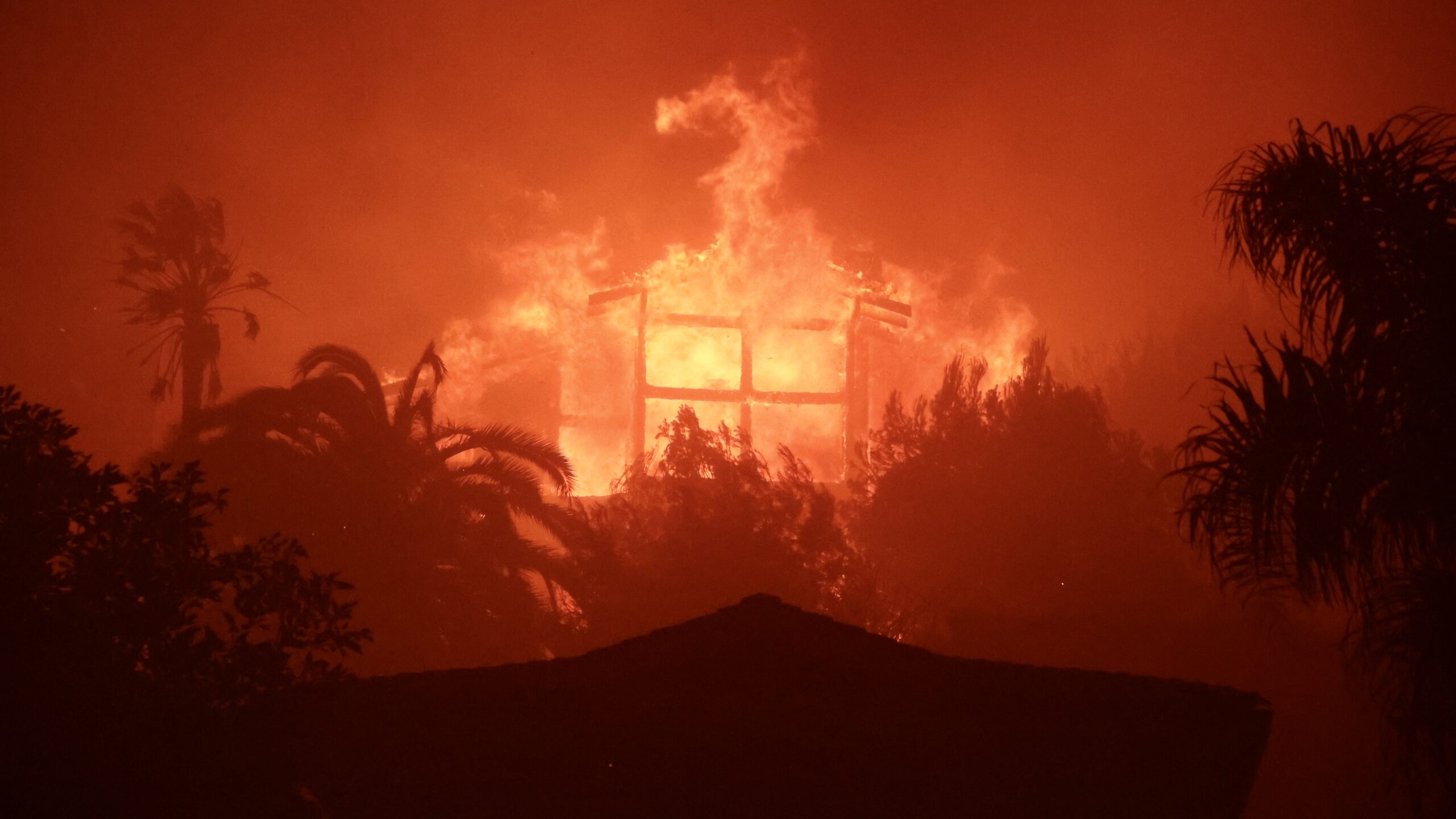 Trump Repeatedly Warned Gavin Newsom To Get State Prepared For Destructive Fires