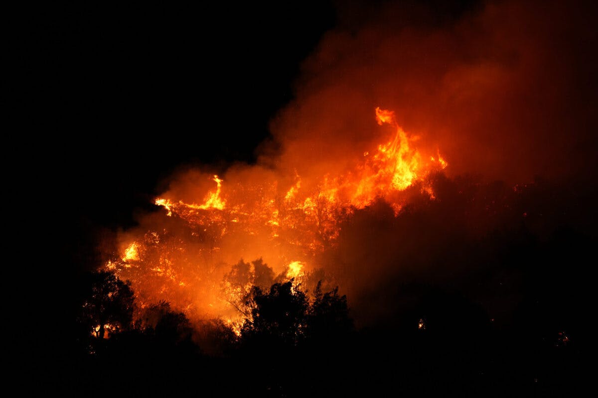 NextImg:Man Detained With Blowtorch Near Wildfire ID’d As Illegal Immigrant, Not Charged With Arson: Report