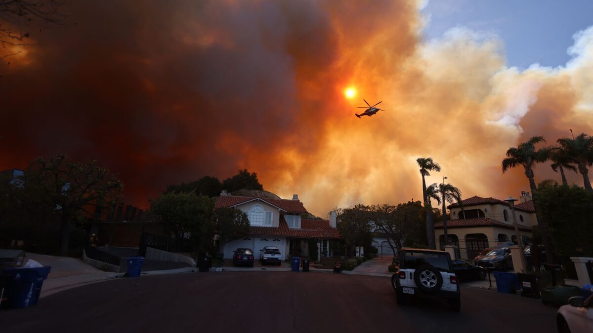 California Assemblyman Explains How State Has Mismanaged Fire Prevention Policies As Wildfires Rage