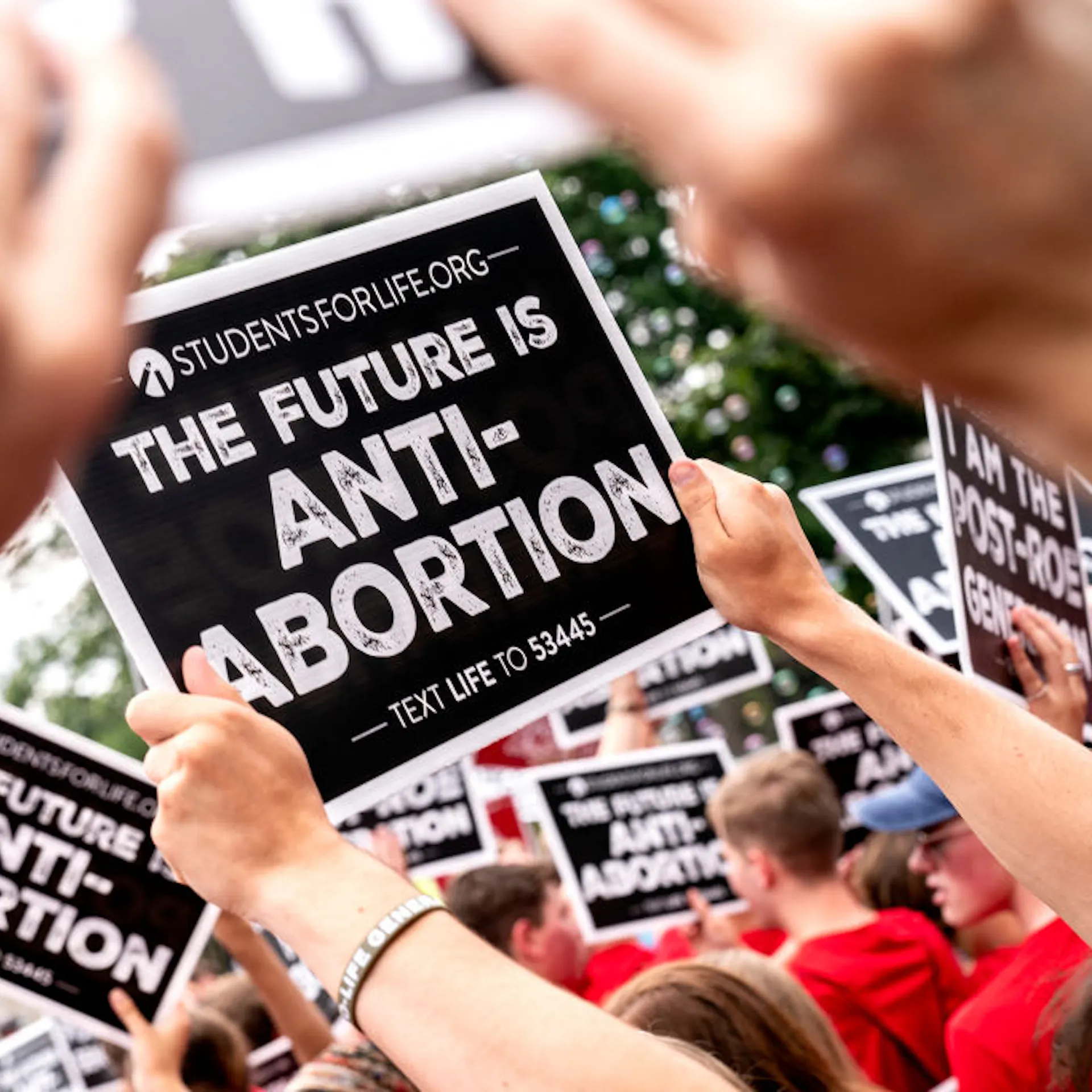 Why Politics Alone Will Never Save the Pro-Life Movement