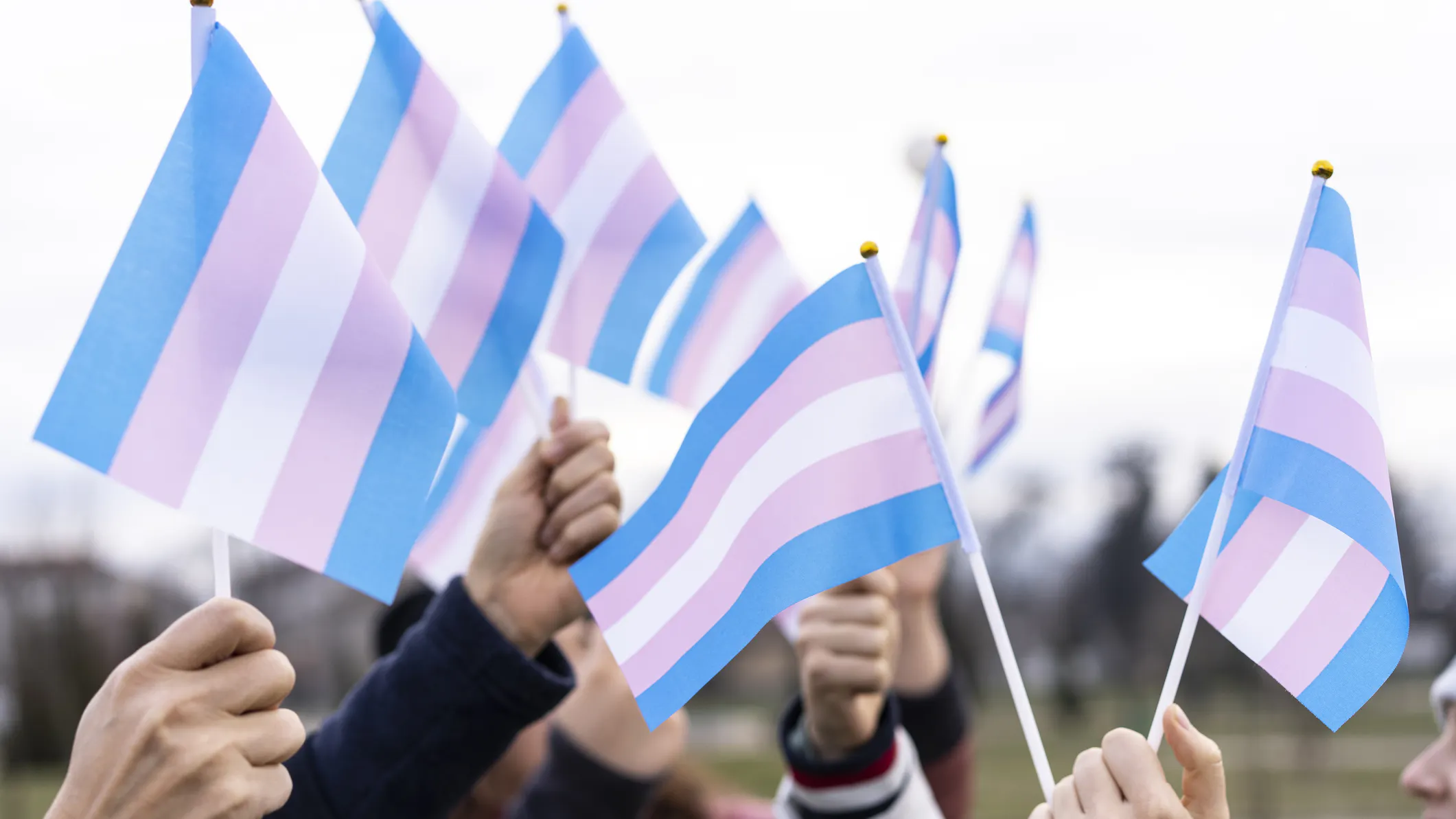 VA School District Defies Trump Orders, Won’t Tell Parents If Children Identify As Transgender