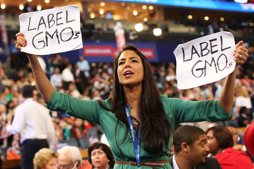 CHARLOTTE, NC - SEPTEMBER 05: Delegate Vani Hari holds signs that say "Label GMOs" during day two of the Democratic National Convention at Time Warner Cable Arena on September 5, 2012 in Charlotte, North Carolina. The DNC that will run through September 7, will nominate U.S. President Barack Obama as the Democratic presidential candidate. (Photo by Chip Somodevilla/Getty Images)