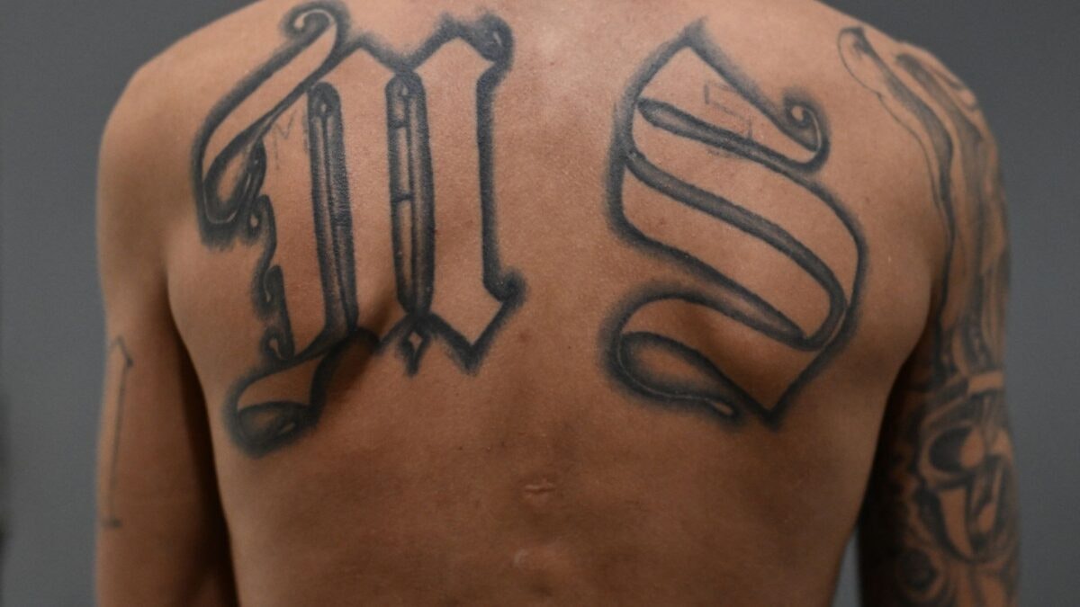 NextImg:Previously Deported MS-13 Member Leads Authorities On Manhunt In Colony Ridge