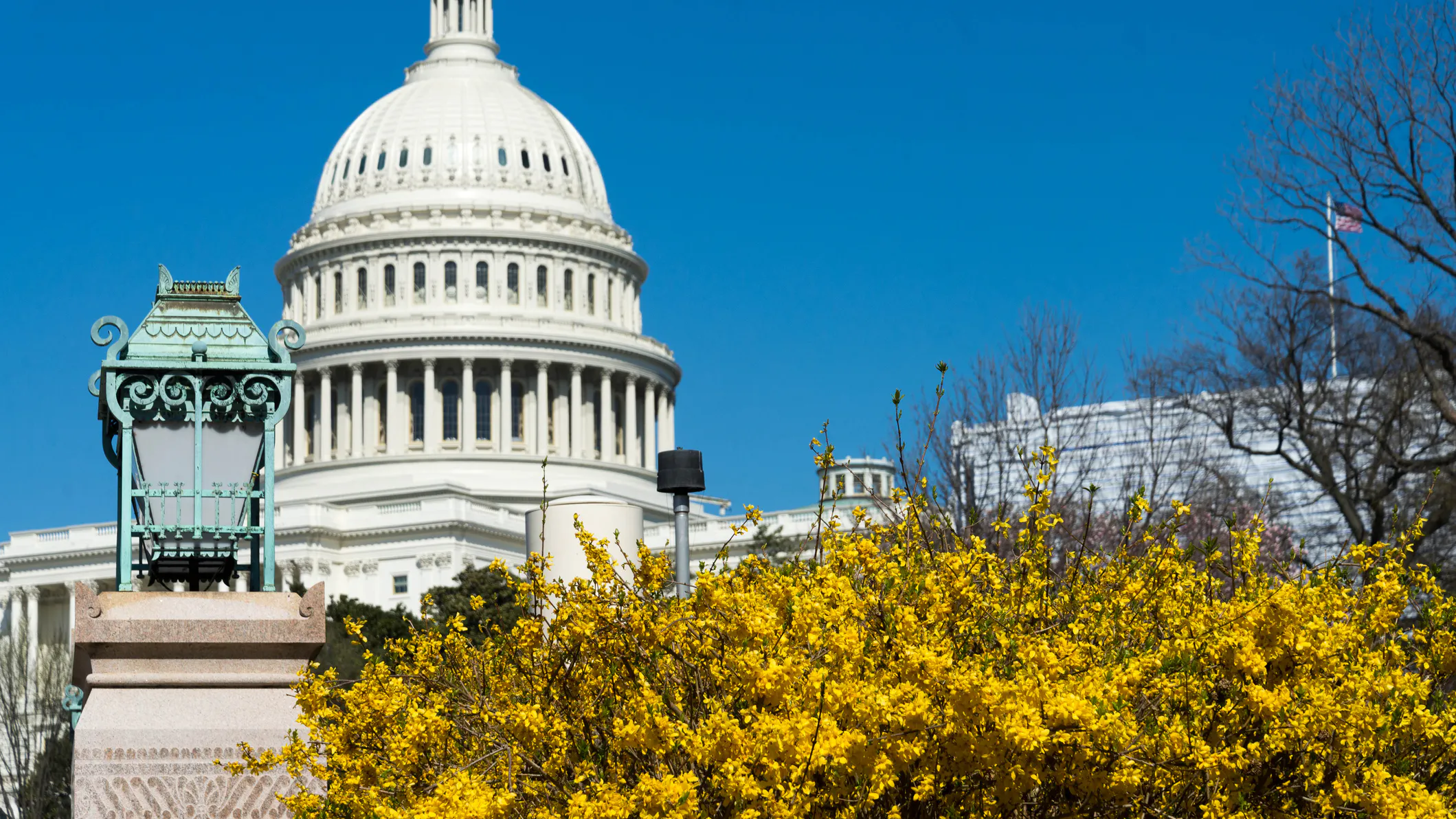 Critical Florida Special Elections For GOP Coming On Tuesday