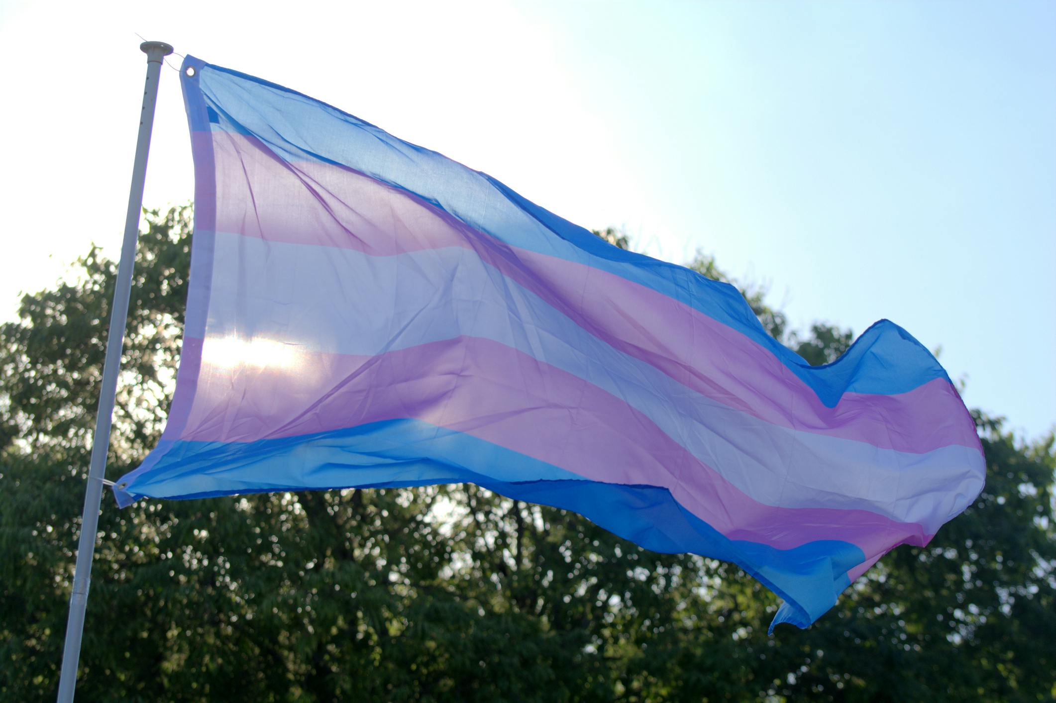 Tennessee Town Faces Down Liberal Protests, Votes To Remove Books Promoting Transgenderism To Kids
