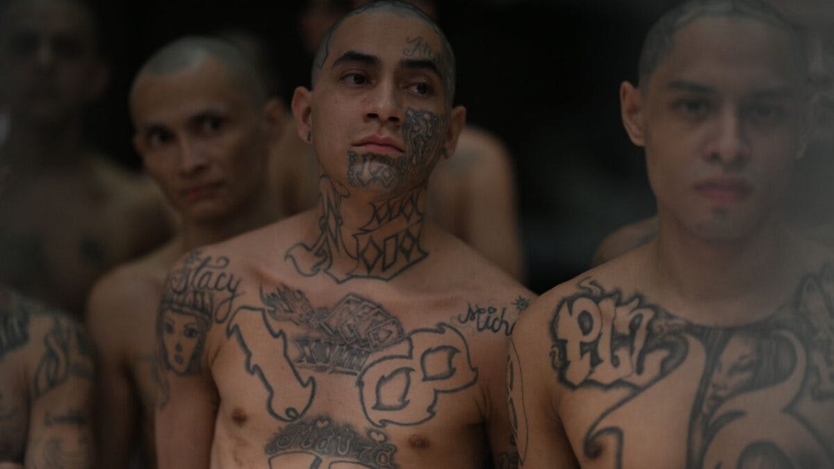 New Resolution Would Allow Trump To Use ‘Full Force’ Of The Military Against Cartels