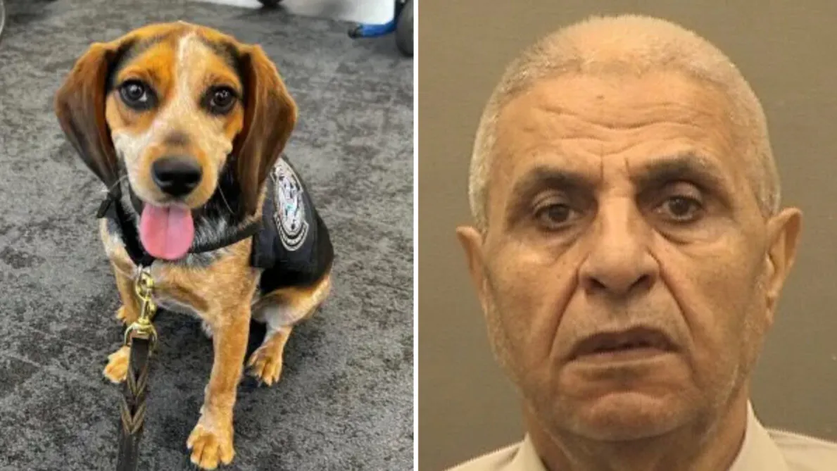 Egyptian Man Deported After Kicking CBP Dog