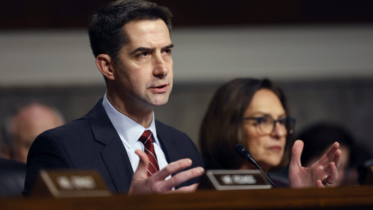 NextImg:Iran Needs To Do Two Things To ‘Actually Survive’: Tom Cotton