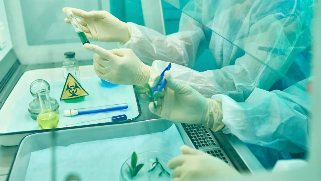 Kash Patel Says Chinese Smuggled ‘Dangerous Fungus’ Into U.S. To ‘Target Food Supply’