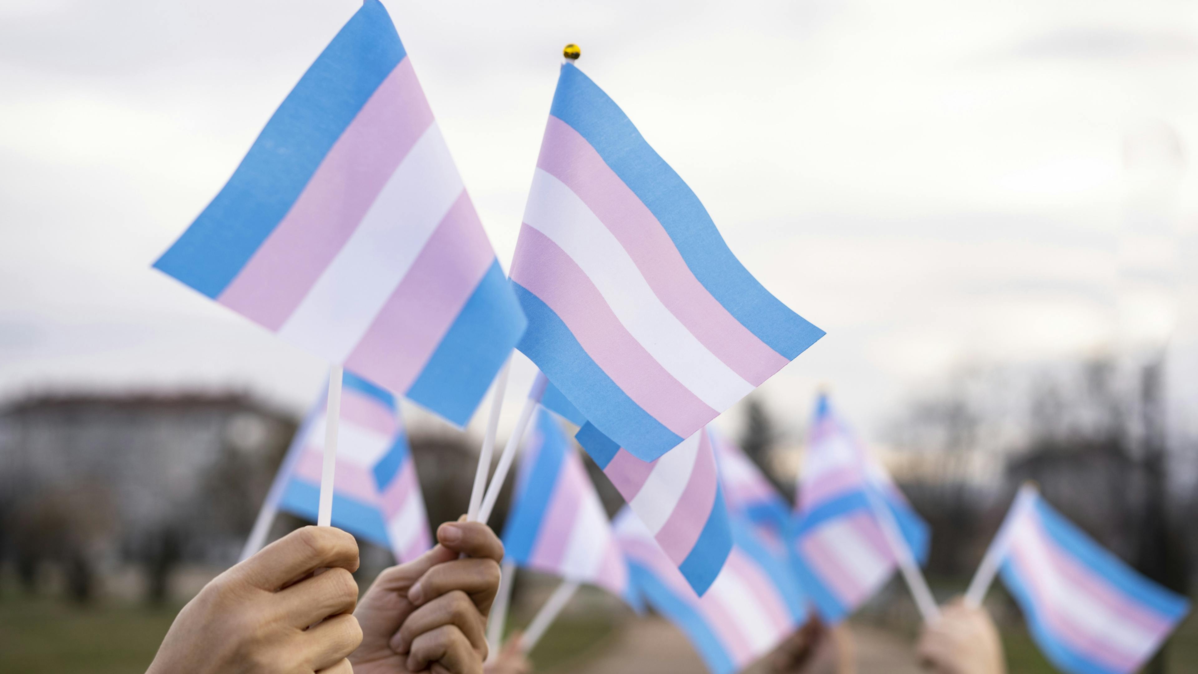 Title IX Group Pushes Trans Ideology In Schools, Watchdog Warns