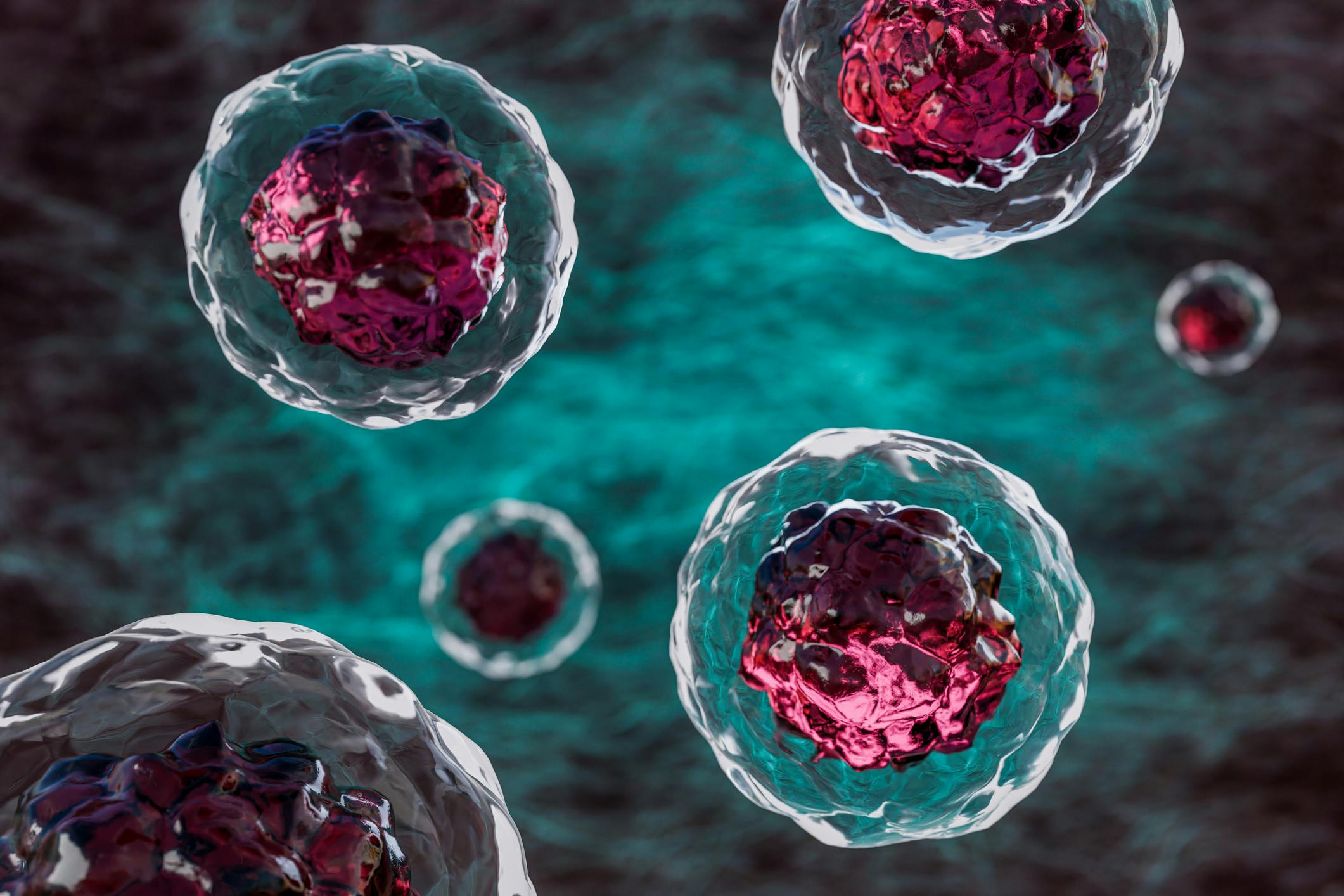 Close-up of several human cells floating through veins. Magnified body's raw materials. 3D illustration of stem cells.