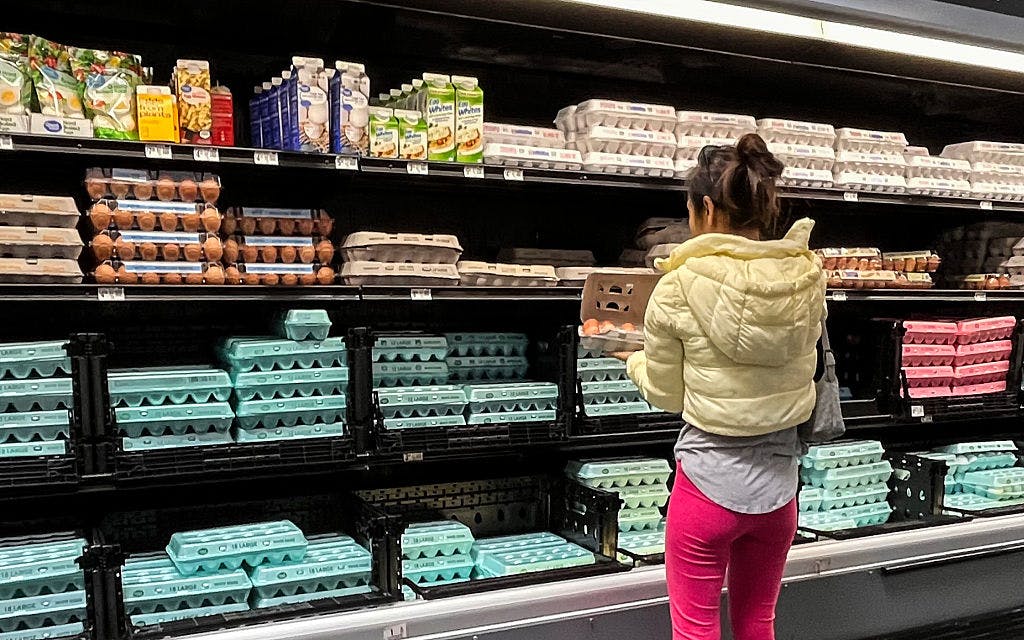 ‘Plentiful And Inexpensive’: Trump Celebrates As Egg Prices Plummet