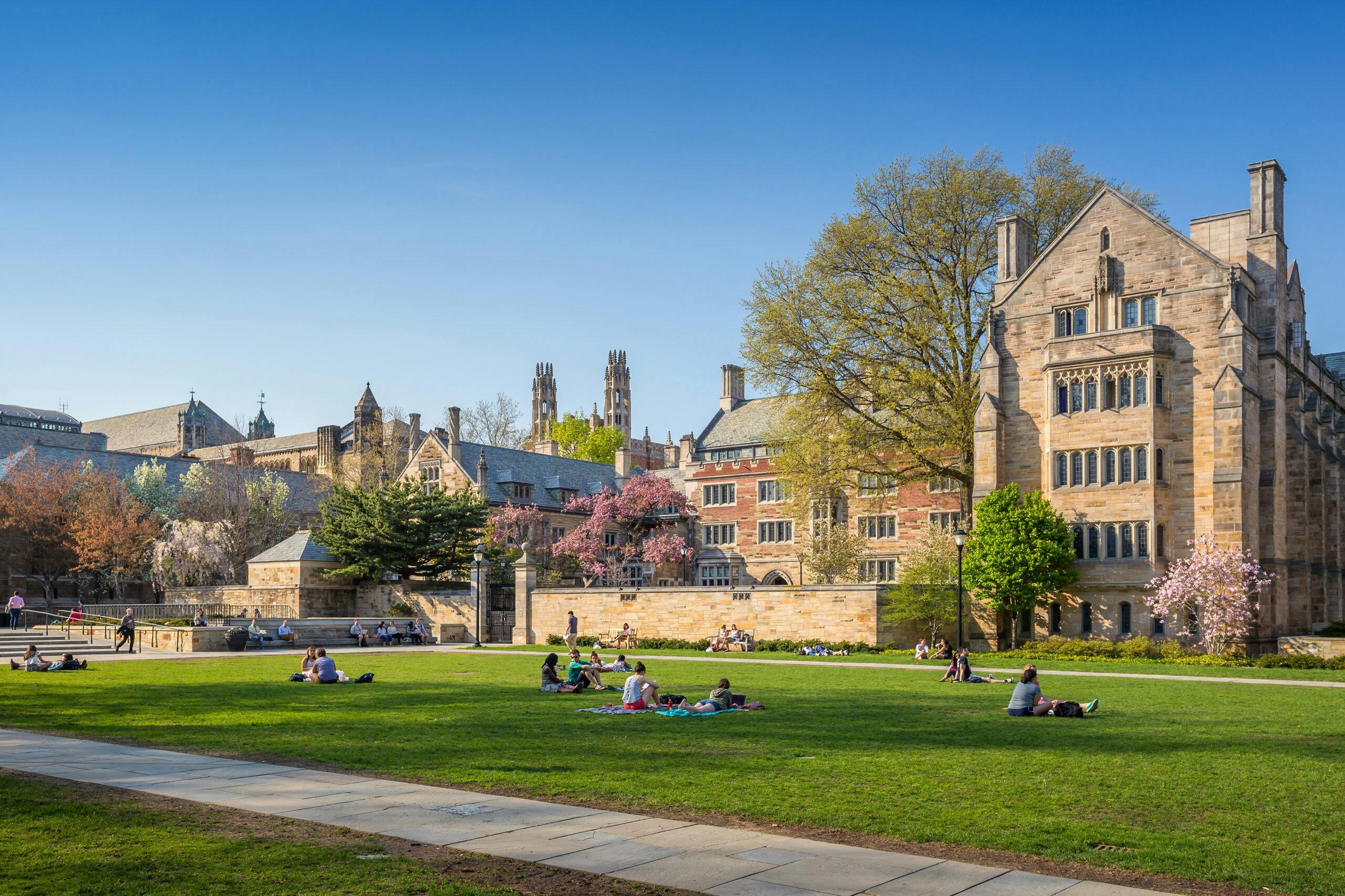From Dante To Cardi B? The Collapse Of Ivy League Curricula