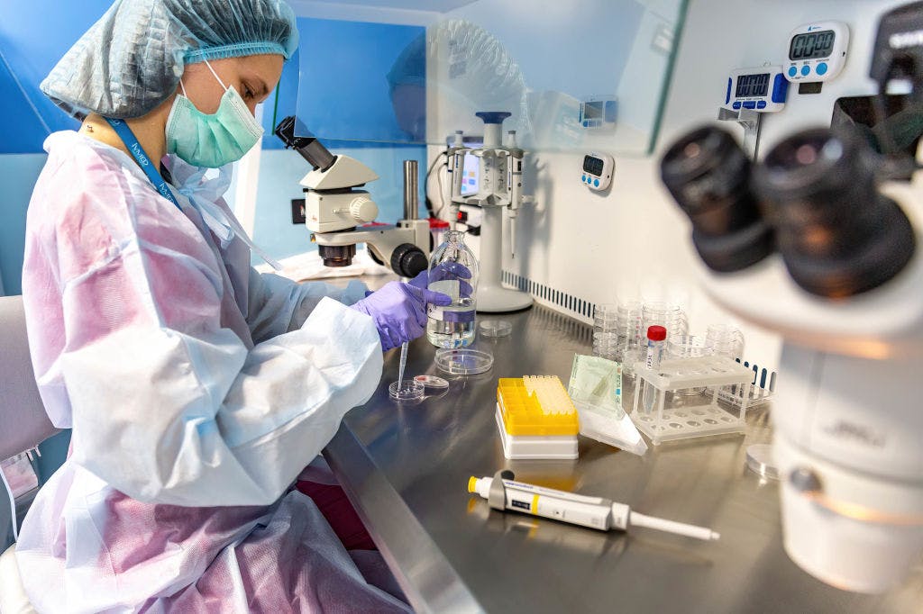 Conservatives Cheer As White House Has No Plans For IVF Coverage Mandate