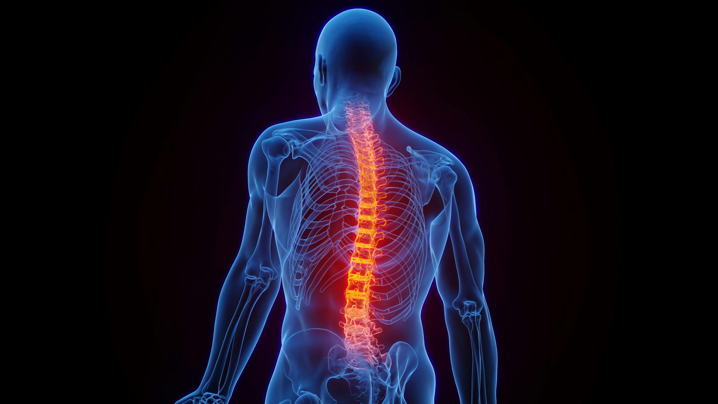 Hope For Paraplegics As Israel Plans First Spinal Cord Implant