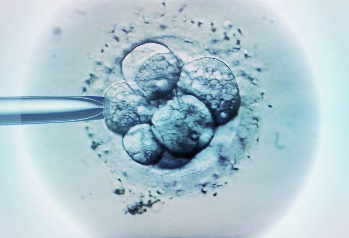 Three Decades Later, Life Begins: Ohio Baby Boy Born From 1994 Frozen Embryo