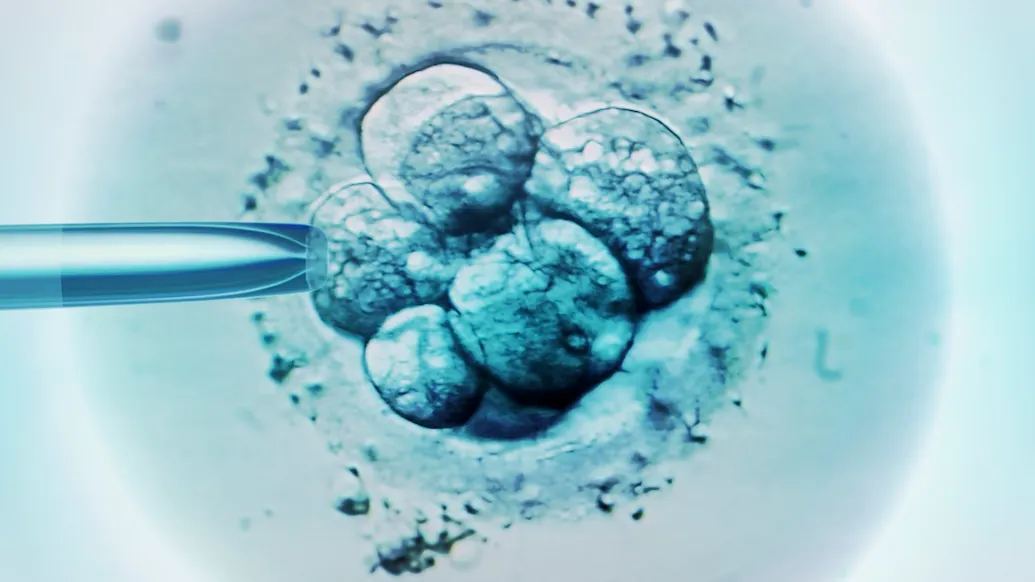Three Decades Later, Life Begins: Ohio Baby Boy Born From 1994 Frozen Embryo