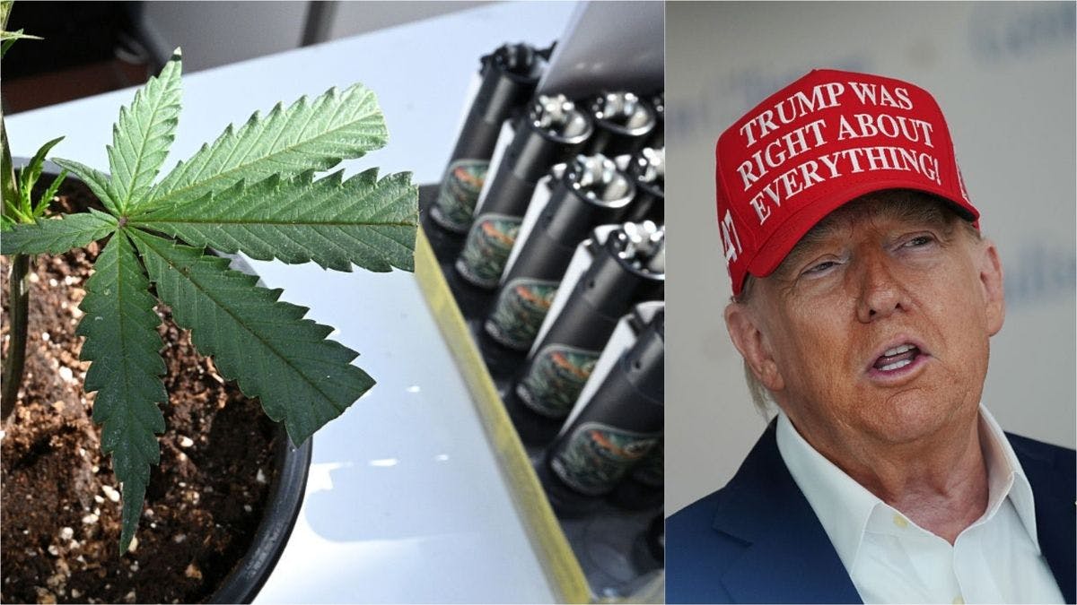 Doobie Debate Blazes: Groups Urge Trump To Reject ‘Flawed’ Weed Reclassification Push