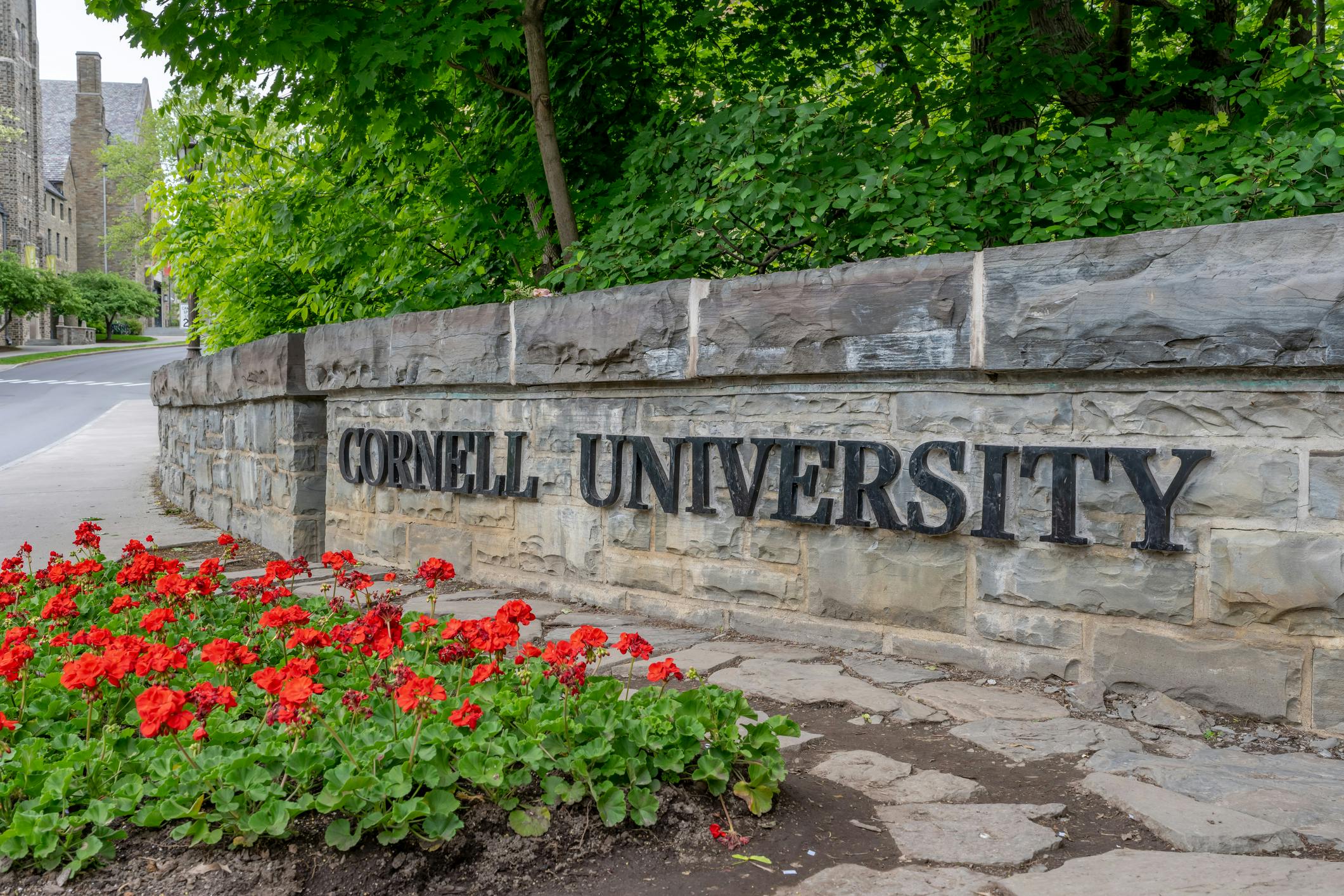 For Grad Students, Labor Day Needs To Be Liberation Day From Radical Campus Union Bosses
