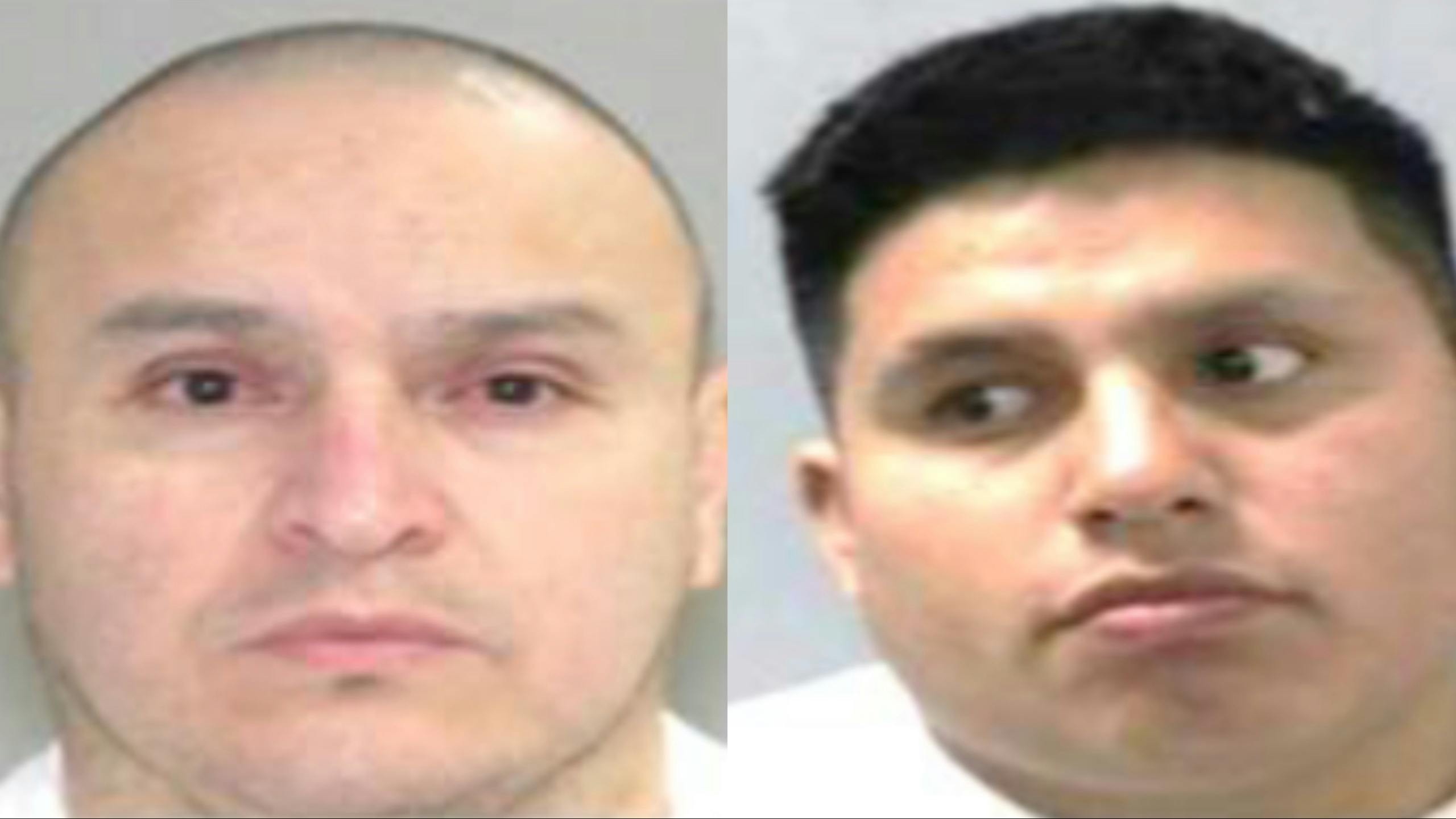 As Democrats Protest, ICE Arrests Illegals ‘Terrorizing American Communities’