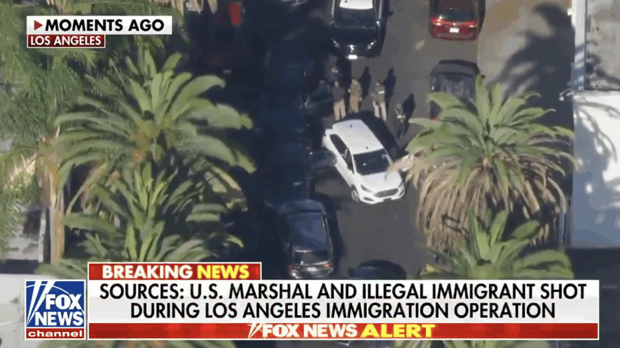 Illegal Immigrant Shot After Trying To Ram Federal Agents In Los Angeles