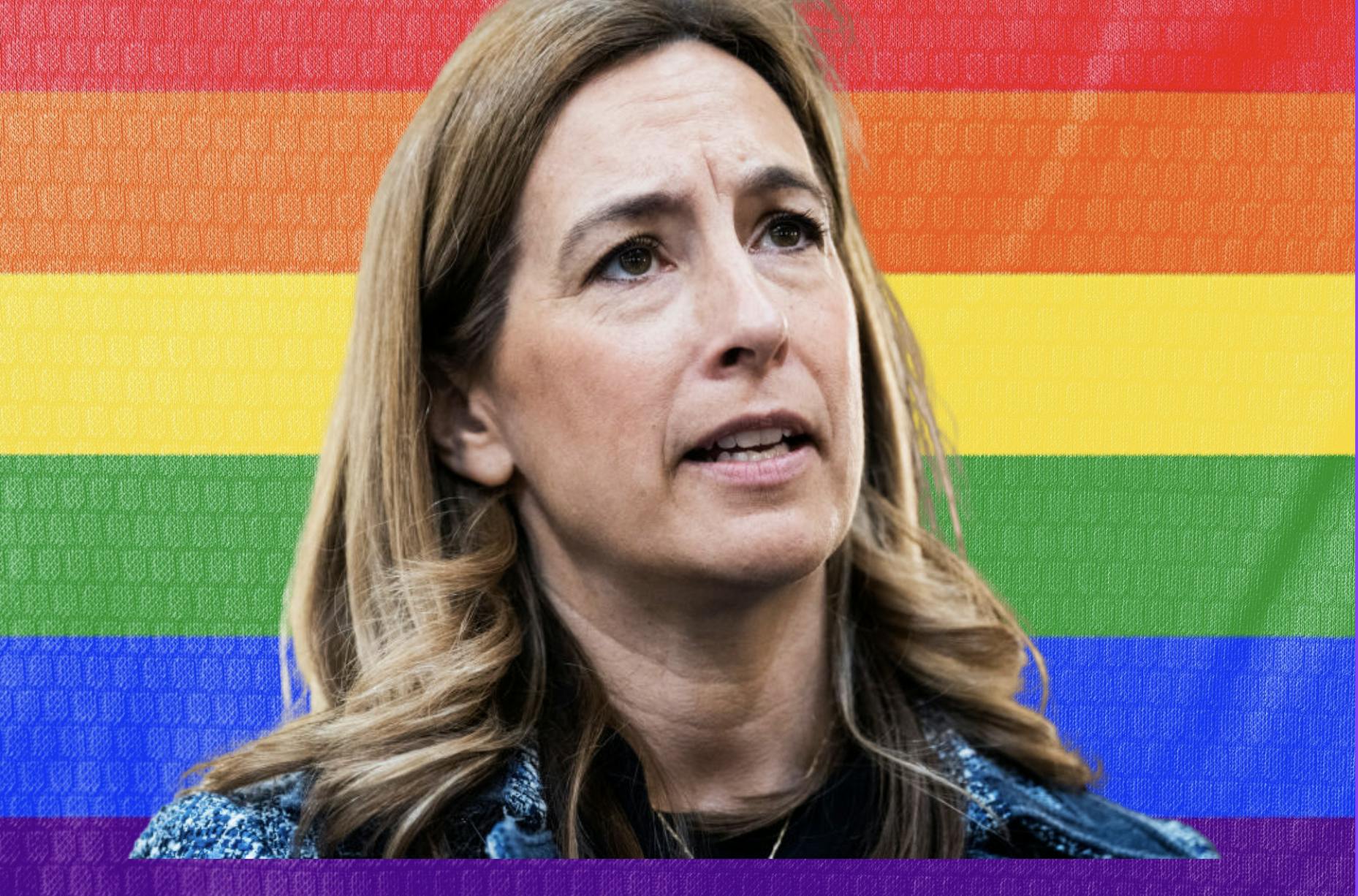 Dem Gov Candidate Mikie Sherrill Says She’d Mandate LGBTQ Content In NJ Classrooms