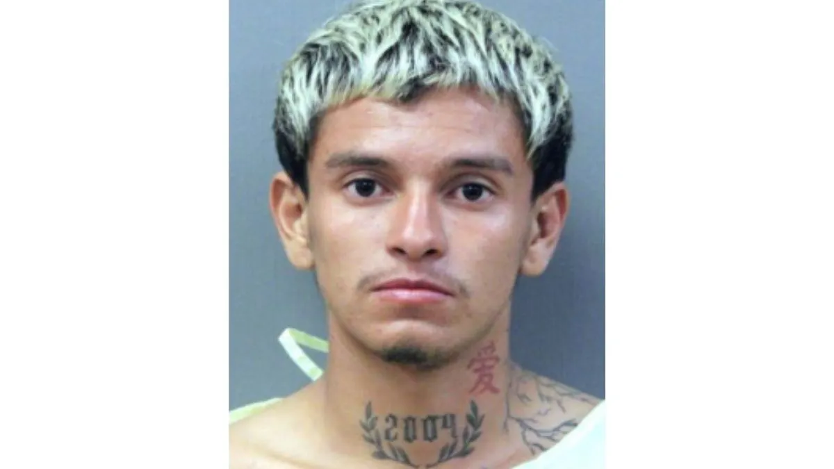 Trump Admin Seeks ICE Detainer For Illegal Immigrant Accused Of Raping Unconscious Woman In Chicago