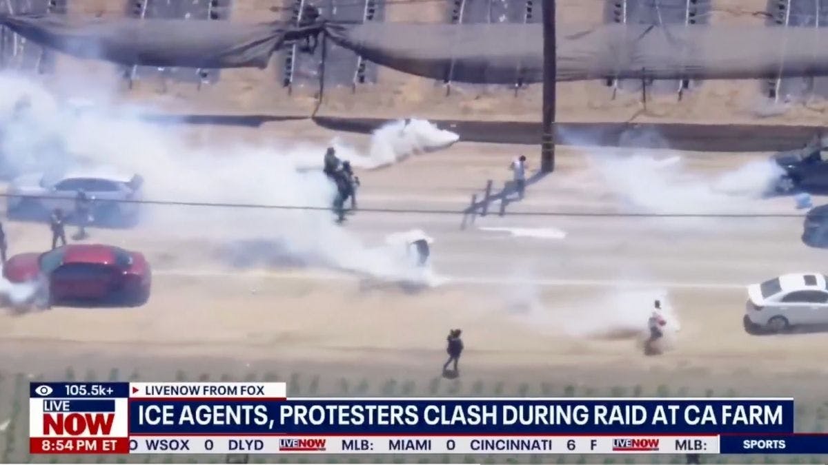 Anti-ICE Rioters Arrested For Attacking Feds During Raid On Marijuana Farm