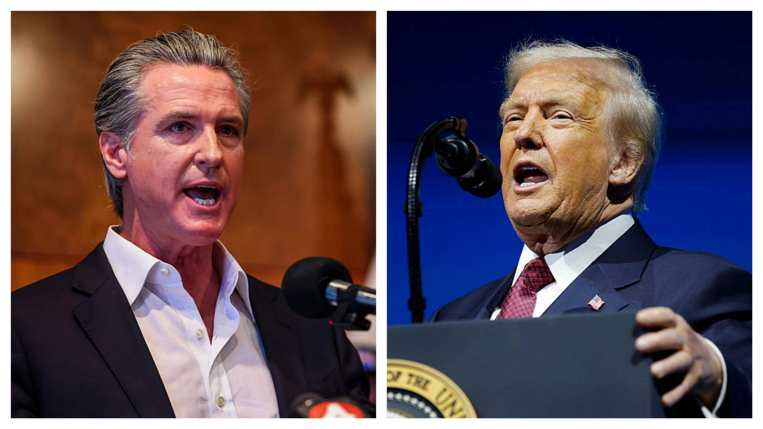 Newsom Touts Green Agenda With Nigeria As Trump Slams Country Over Christian Persecution
