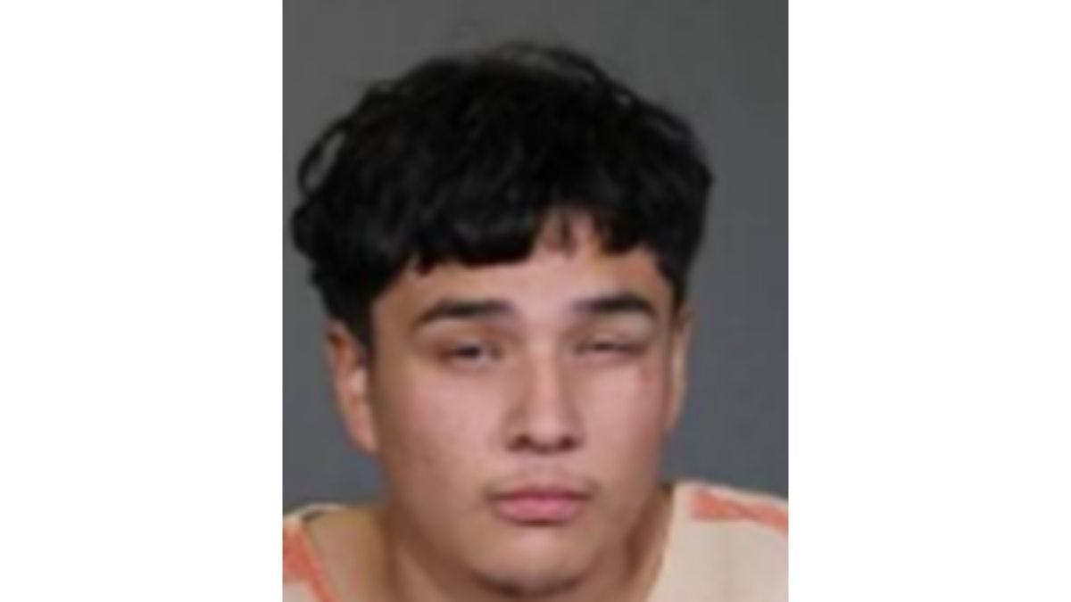 Hammer-Wielding Illegal Immigrant With Rap Sheet Attacks Female Jogger In Texas