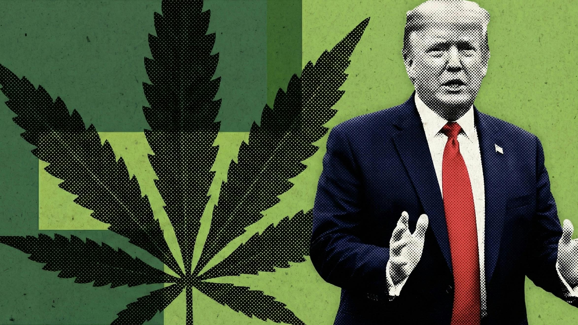 Trump Reclassifies Marijuana At Federal Level: ‘We Have People Begging For Me To Do This’