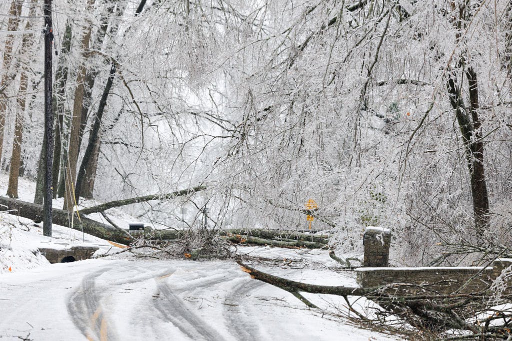 NASHVILLE, TENNESSEE - JANUARY 25: Fallen branches and trees lay across roadways and utility lines during a winter storm on January 25, 2026 in Nashville, Tennessee. A massive winter storm is bringing frigid temperatures, ice, and snow to millions of Americans across the nation.