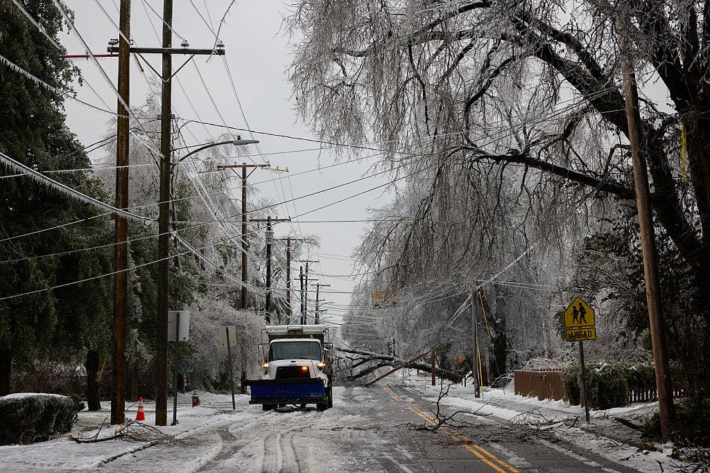 Nashville Electric CEO Touted Tree-Hugging Over Aggressive Trimming Months Before Massive Ice Storm