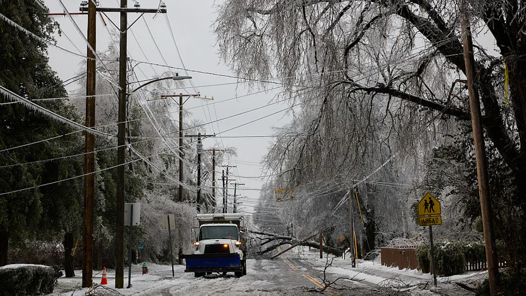 Nashville Electric CEO Touted Tree-Hugging Over Aggressive Trimming Months Before Massive Ice Storm