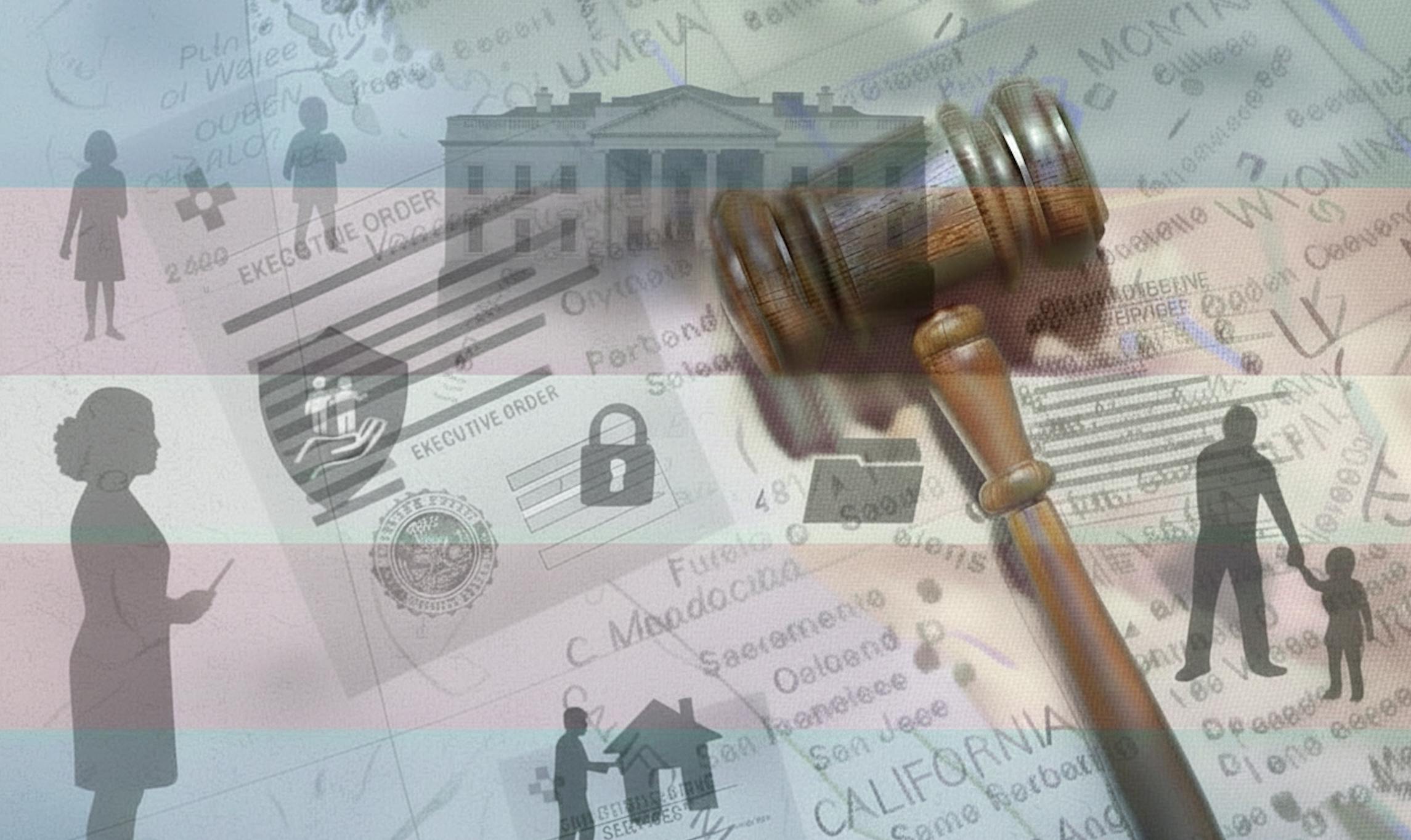 Inside The Push For Trump To Keep Radical Gender Ideology Out Of Child Welfare Programs