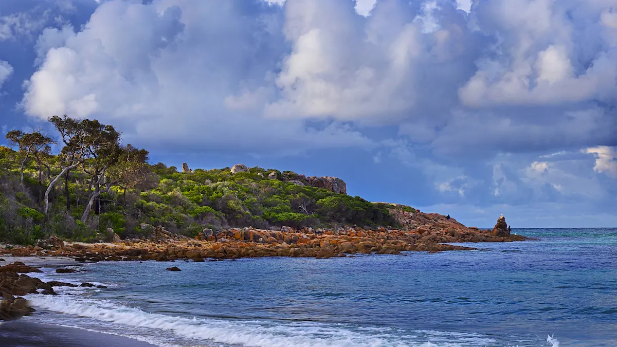 Heroic Teen Swam For Hours To Save Family Stranded At Sea