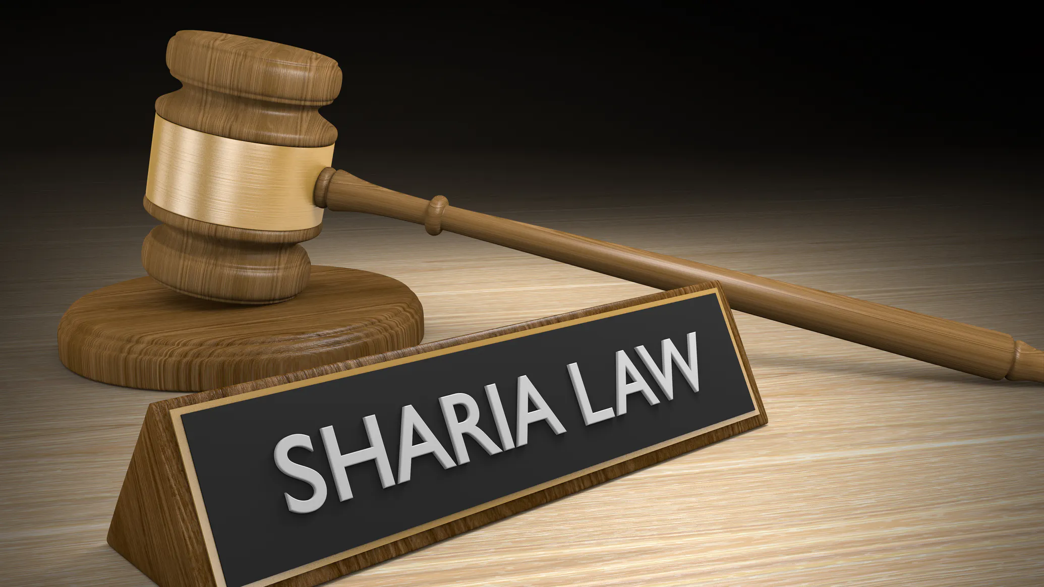 WATCH: 12-Year-Old Shreds School Board After Sharia Pamphlets Handed Out