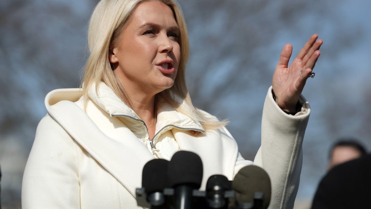 ‘Very Ironic’: Karoline Leavitt Blasts Anti-ICE Celebs