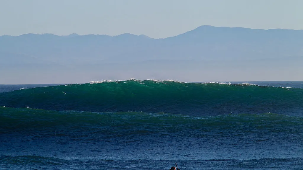 Surfers Rescue 6 People After Big Wave Capsizes Boat, Throws Family Into Ocean