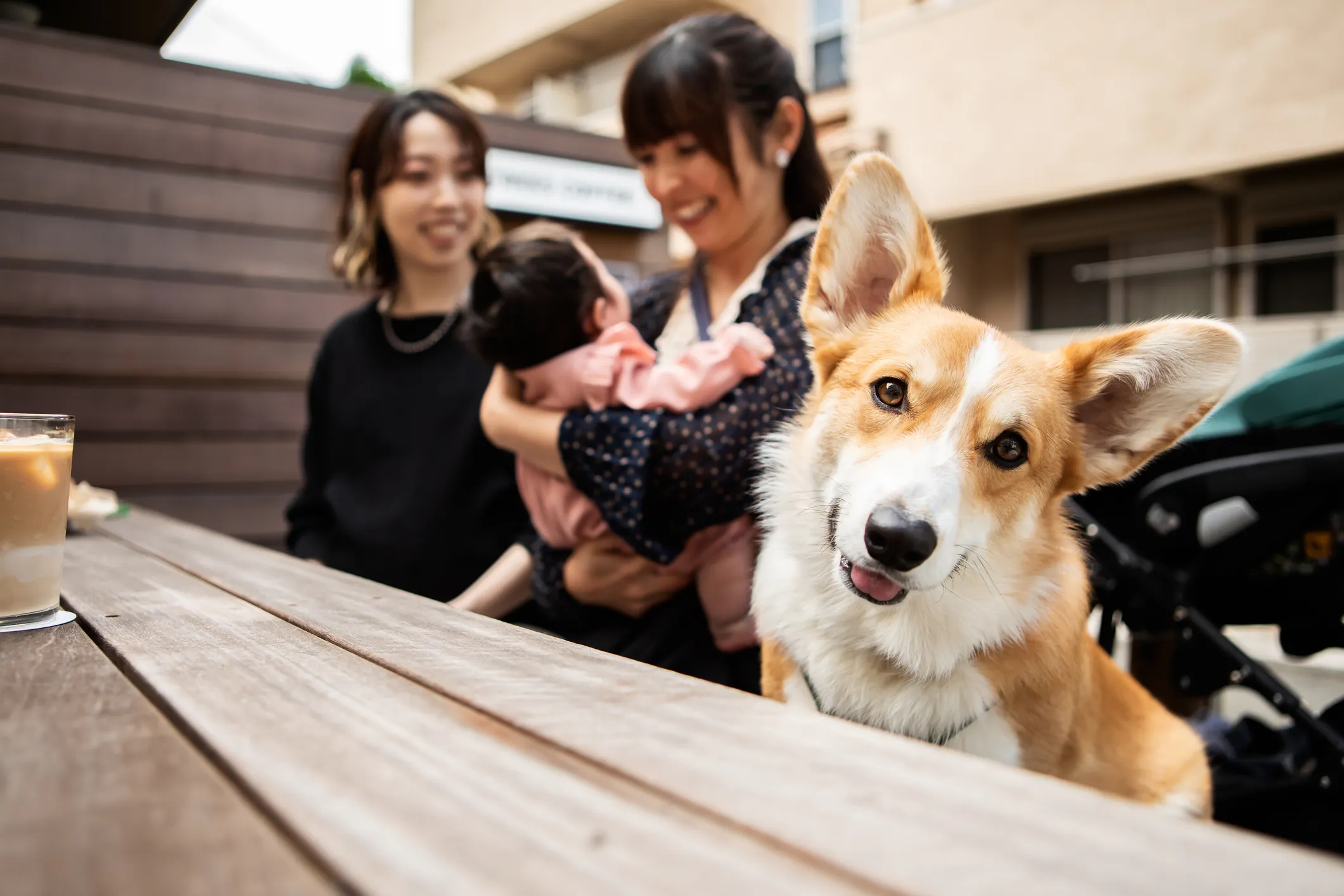 The ‘Fur Baby’ Life Comes With A Truth Most People Don’t Want To Admit