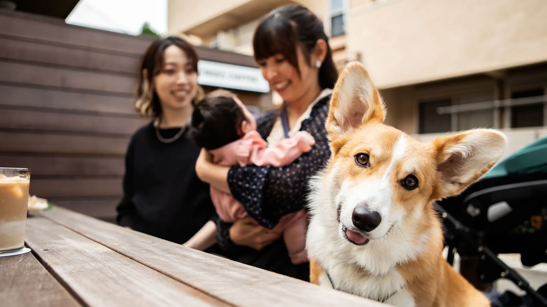 The ‘Fur Baby’ Life Comes With A Truth Most People Don’t Want To Admit