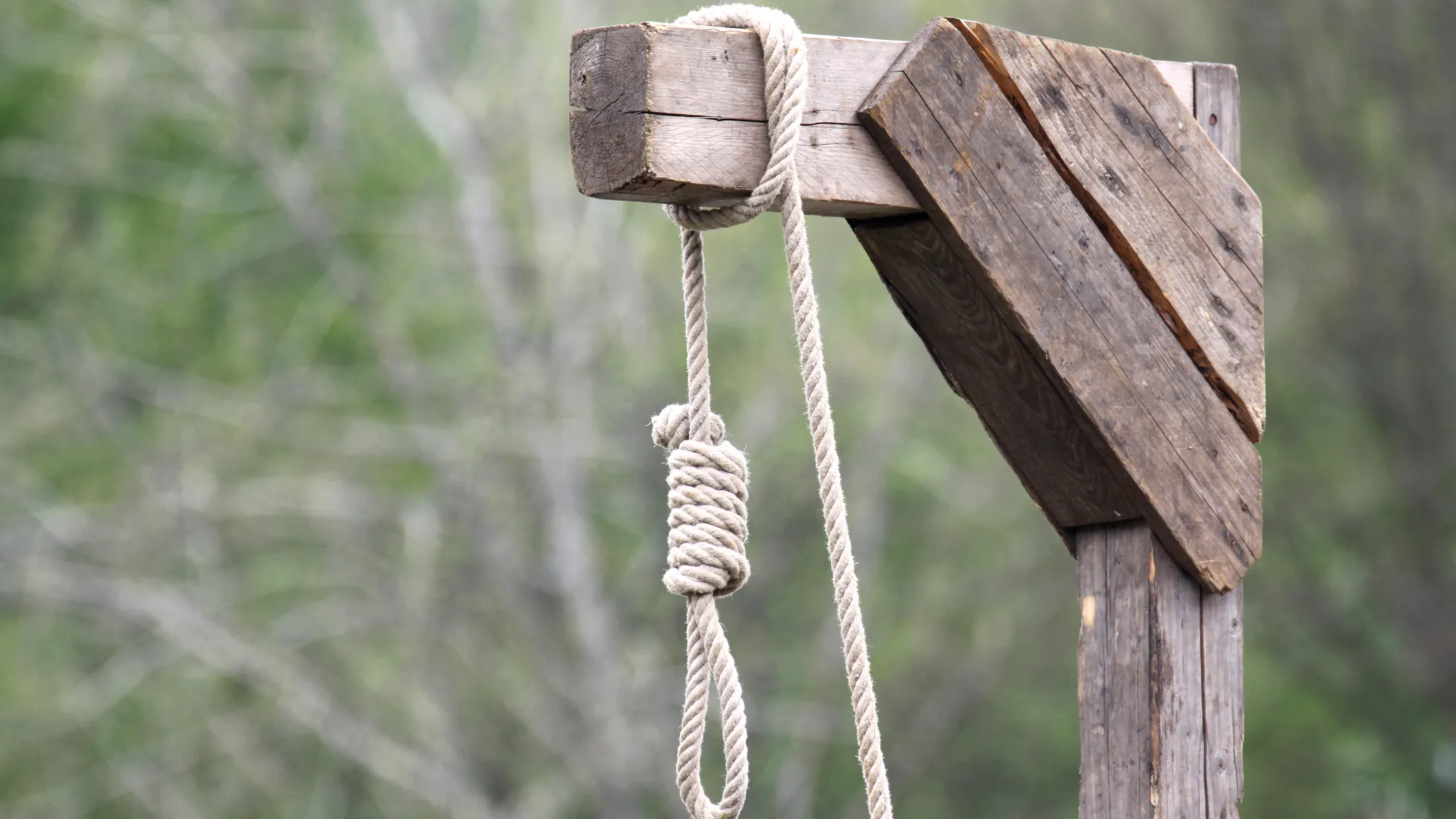 ‘MASSACRING YOUTH’: Iran Hangs 19-Year-Old Wrestling Champion After Protest Arrest