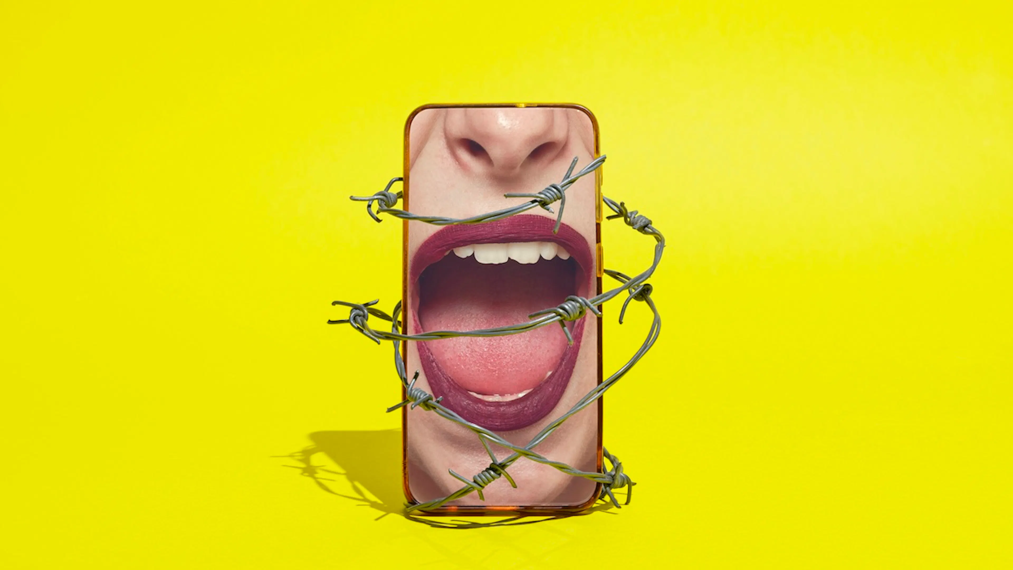 How A Niche Online World Made Its Outrage Look National