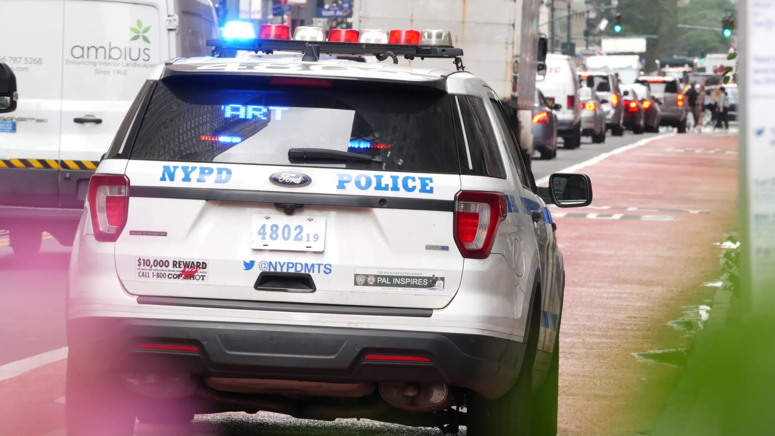 Deciphering New York’s Persistent Violence And Public Disorder