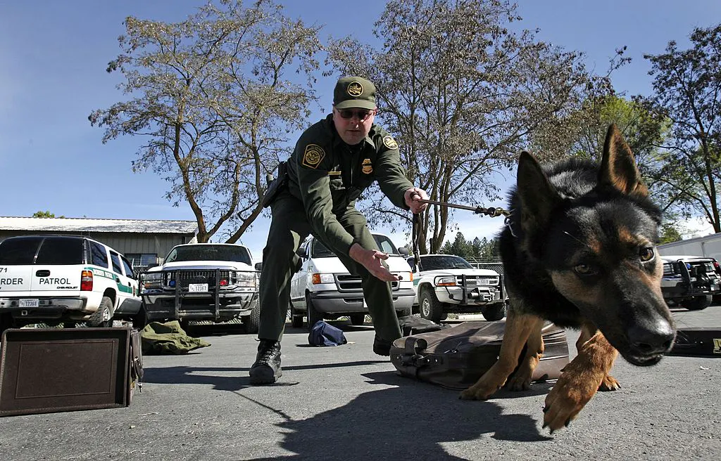 A Straightforward Vote On Protecting Police Dogs — Dems Went Which Way?