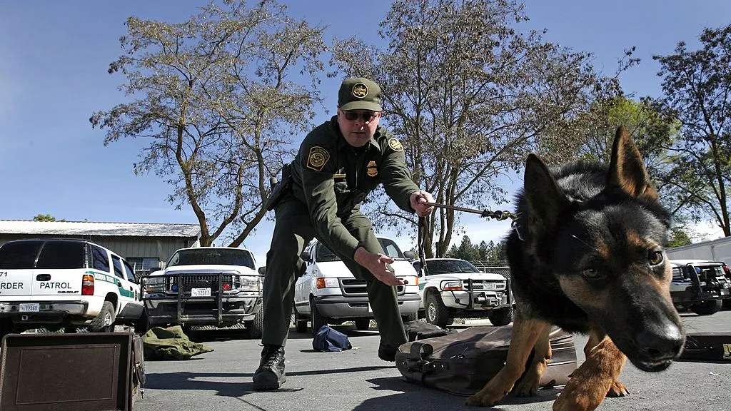 A Straightforward Vote On Protecting Police Dogs — Dems Went Which Way?