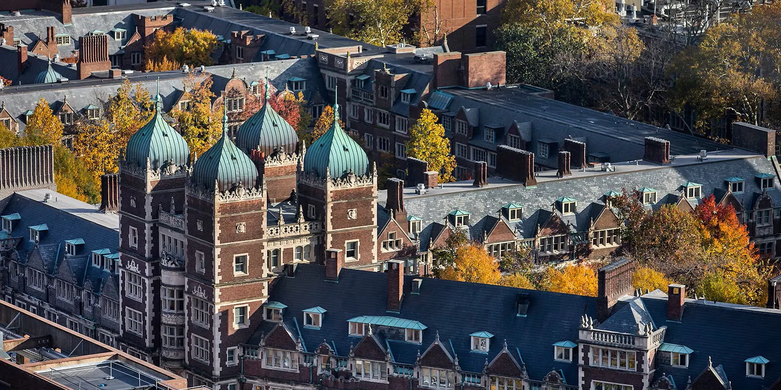 What’s Being Taught Behind Ivy League Doors? Inside Controversial ‘Misinformation’ Course