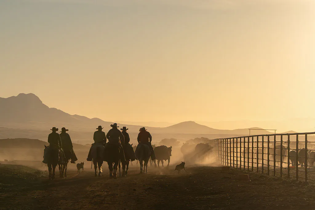 Who’s Taking The Prime Cut Of America’s Beef Prices?