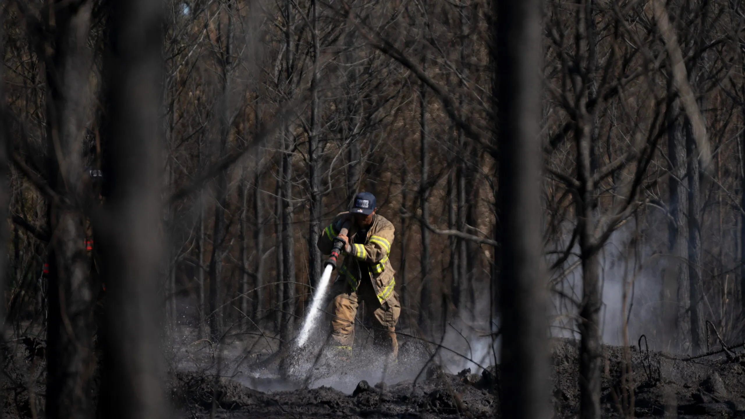 Stray Spark And Aluminum Balloon: Georgia Declares State Of Emergency As Wildfires Rage In South