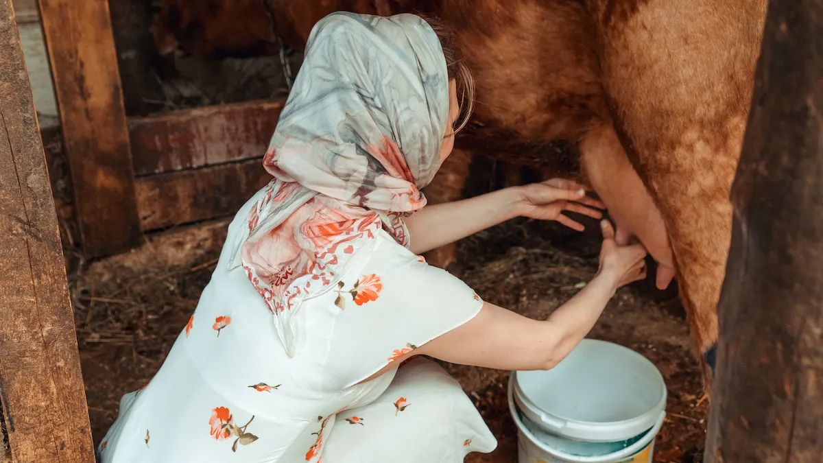 The New Book That Treats Traditional Wives Like The Enemy